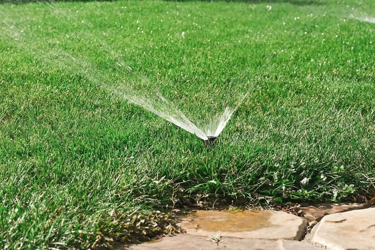 A pop-up sprinkler watering a vibrant green lawn